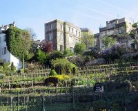 Wijngaard van Montmartre