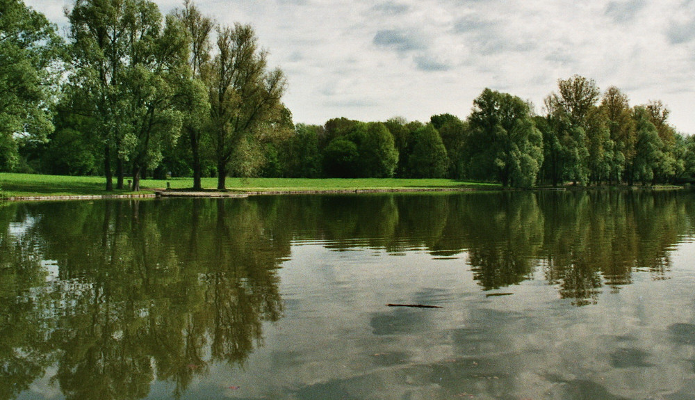 Rheinaue (park)