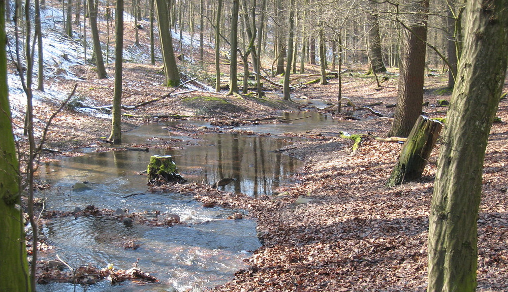 Stadtwald Bittermark