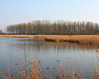 Wetlands van Harchies - Marais d'Harchies