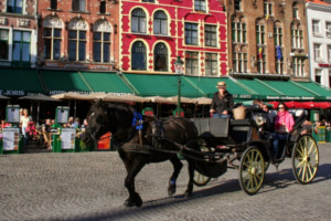 Koetstocht Brugge: middeleeuwse rondritten te paard 